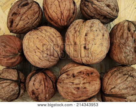 Walnuts on a table in contrast colors brown, dark and light. Harvest of autumn background or texture for fall theme. Flat layout view. Raw nuts with unbroken nutshell from a garden