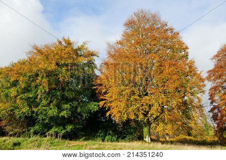 Beautiful autumn season on a sunny day