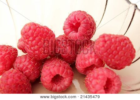 frambuesa