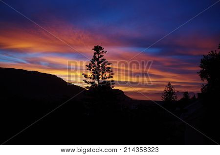 Sunrise fire in the sky with tree silhouette on black mountain