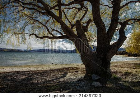 beautiful scenic of lake wanaka most popular traveling destination in southland of new zealand