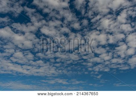 Puffy Field of Clouds on Blue Sky Background Image