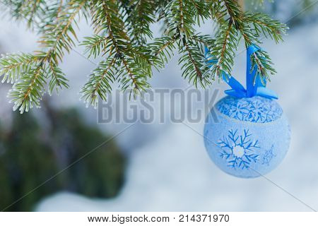 blue fur-tree toy on a branch of blue fir-tree blue green white Colorado blue spruce Picea pungens covered with hoarfrost. New Year's Background. Copy Space
