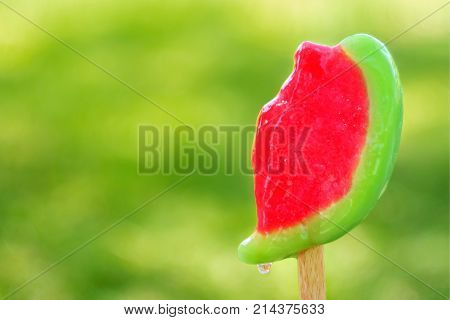 Juicy bright ice cream with taste of watermelon and with drop of moisture on yellow green background of grass