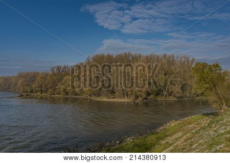 Confluence Of Dunaj And Morava Rivers In Sunny Autumn Morning