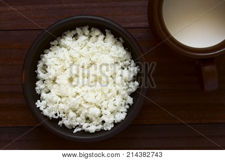 Kefir grains in bowl and a cup of milk on the side photographed overhead with natural light (Selective Focus Focus on the kefir grains)