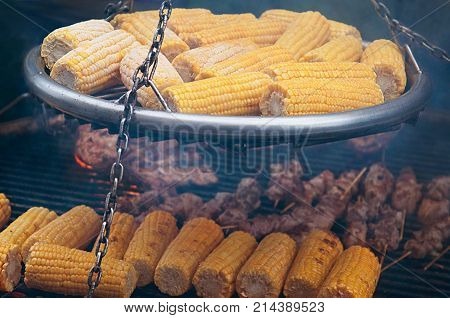High quality shot of delecious Roasted barbecue corn with meat or chicken