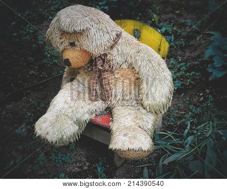 Old dirty shabby Bear in Chair creepy halloween shot. loneliness of old toy