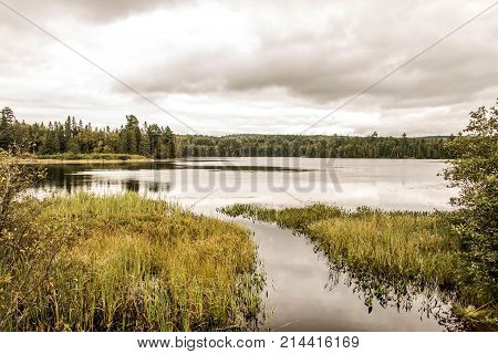 Canada Ontario Lake of two rivers - natural wild landscape near the water in Algonquin National Park