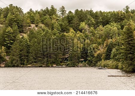 Canada Ontario Lake of two rivers - natural wild landscape near the water in Algonquin National Park