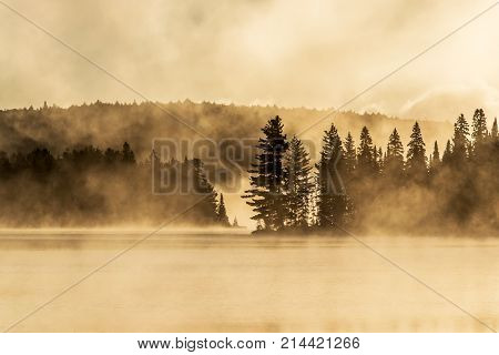 Lake of two rivers in algonquin national park ontario canada sunset sunrise with fog foggy mystical atmosphere background