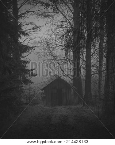 Old abandoned granary standing in woods middle of fog and trees