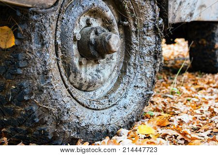 Dirty the wheels of the car after off-road. The car is in the autumn forest, fallen leaves. Selective focus