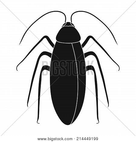 Insect cockroach single icon in black style for design.Pest Control Service vector symbol stock illustration .