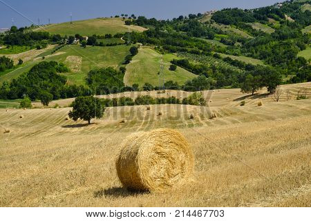 Landscape Near Ascoli Piceno At Summer