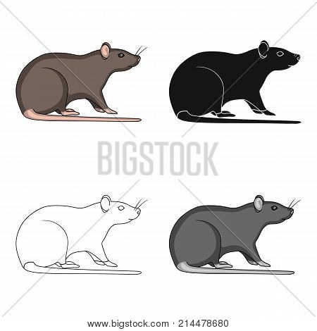 Rodent rat single icon in cartoon, black, outline, monochrome style for design.Pest Control Service vector symbol stock illustration .