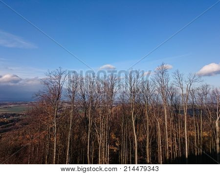 Meadow and forests in spring time in landscape