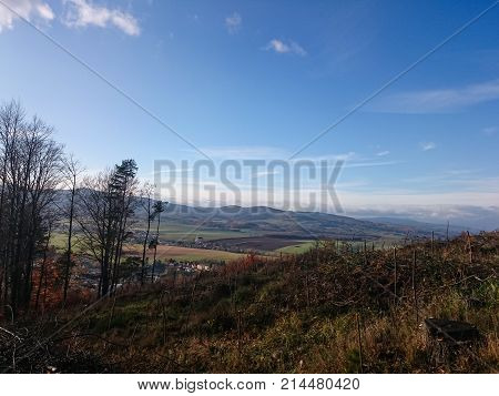 Meadow and forests in spring time in landscape