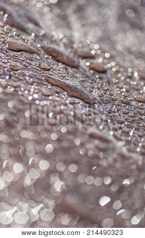 Waterdroop on the bench - Water Drops on the bench - close up