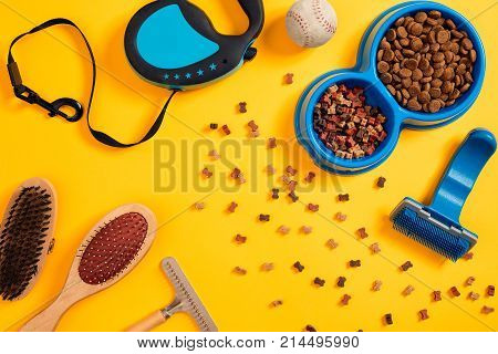Dog accessories on yellow background. Top view. Pets and animals concept. Still life. Copy space. Flat lay