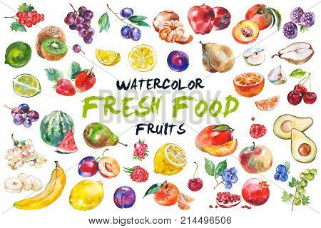 Watercolor painted collection of fruits. Hand drawn fresh food design elements isolated on white background.