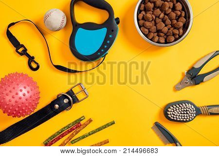 Dog accessories on yellow background. Top view. Pets and animals concept. Still life. Copy space. Flat lay