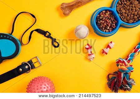 Dog accessories on yellow background. Top view. Pets and animals concept. Still life. Copy space. Flat lay