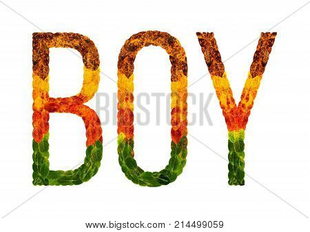 Boy word is written with leaves white isolated background, banner for printing, creative illustration boy colored leaves.