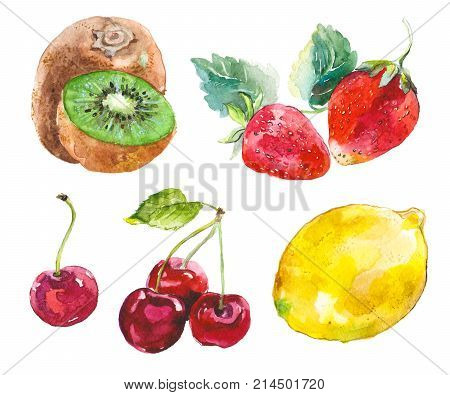 Watercolor painted collection of fruits. Hand drawn fresh food design elements isolated on white background.