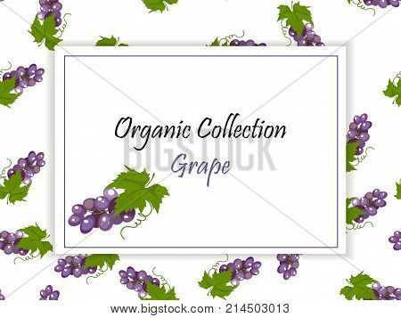 Sweet juicy whole grape fruit symbol for jam and juice product label or grocery store, shop and farm market design. Vector square label, grape jam, sauce or juice label on a seamless pattern background with soft shadow