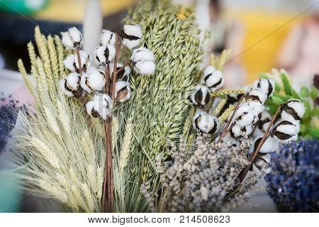 Close-up of creative bouquets of dried flowers with dried Gossypium branch or cotton stem with fluffy white cotton balls. Unusual flower arrangements flower shop studio. Delivery of flowers smell plants aroma