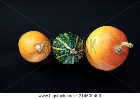 trio of pumpkins against a black background