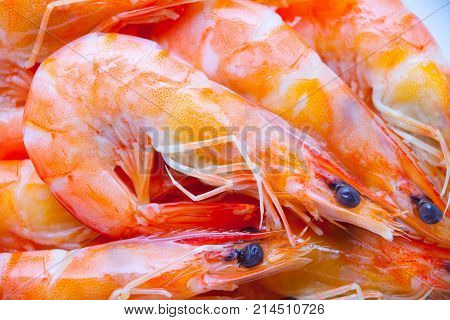 Cooked shrimps on white background closeup  seafood