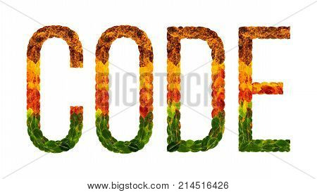 Code word is written with leaves white isolated background, banner for printing, creative illustration code colored leaves.