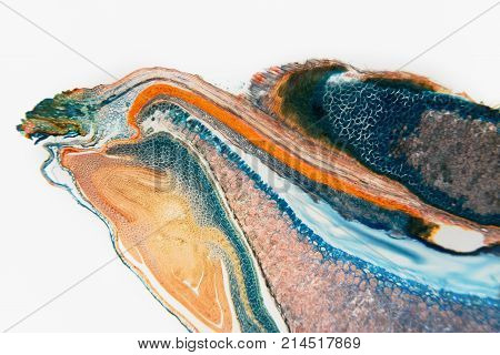 Nature pattern: cross-section weevil rye. Beautiful vegetable background. Biological prepared microscope slides