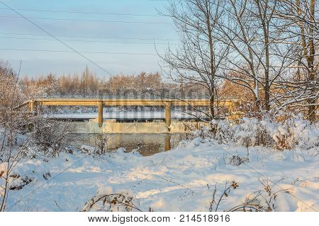 Nature Winter Forest Grove Trees in the snow Cold Frozen River