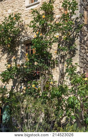 Old house in town Oppede-le-Vieux in Provence France
