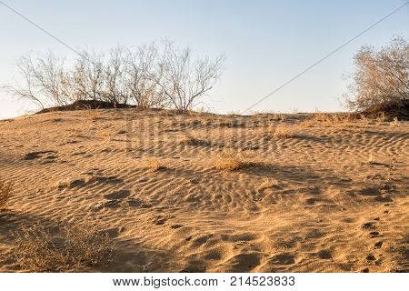 The Kyzylkum Desert