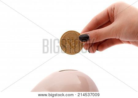 large black book on a white background