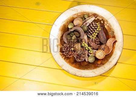 Christmas decorative pot-pourri. Traditional display on bright colorful yellow background. Xmas modern table centrepiece.