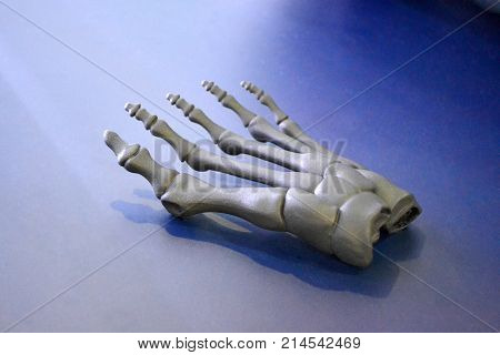 Gray prototype of the human foot skeleton printed on 3d printer on dark surface. Fused deposition modeling, FDM. Progressive modern additive technology. Concept of 4.0 industrial revolution