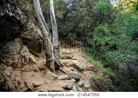 A tourist hiking trek to Caledonia waterfall near Platres central Cyprus