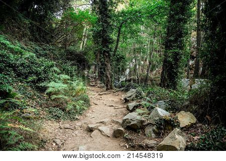 A scenic hiking trek through the forest to Caledonia waterfall near Platres central Cyprus