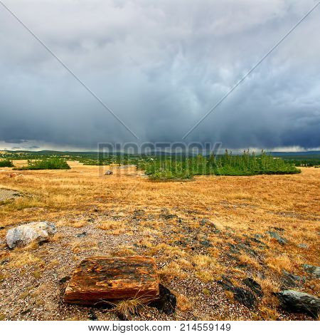 View of the Libby Flats near Snowy Range Pass in the Medicine Bow National Forest of Wyoming