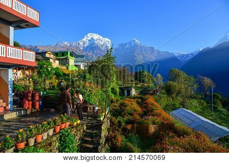 Himalaya Mountains, View From Ghandruk, Nepal
