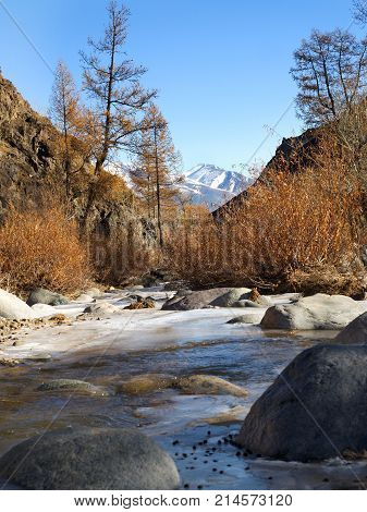 Sunny autumn mountain valley with a river stream and shores with yellow dry grass on the background of snow peaks and ice glacier cloudy sky. Ice almost got up.