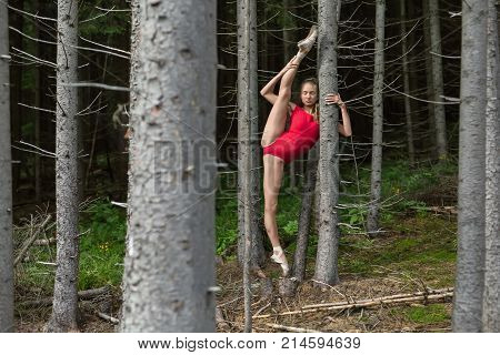 Dancer with closed eyes stands on the left toe and holds hand on the dry tree on the background of the coniferous forest. She wears a red leotard and ballet shoes. Her right leg outstretched upward.