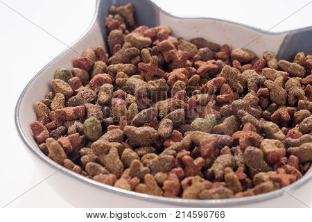 Colorful dry cat dog food in granules in the bowl