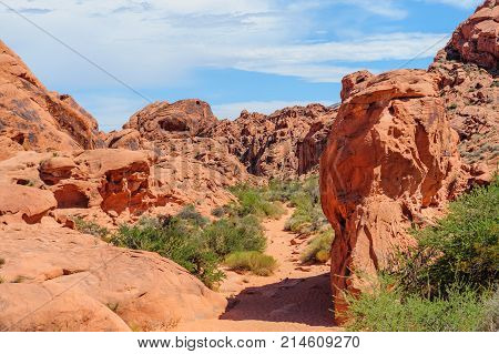 The Colorful Rock formations of the Valley of Fire State Park in Nevada.