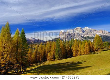 Larch forest in fall colours and The Tofane Group in the Dolomites, Italy, Europe